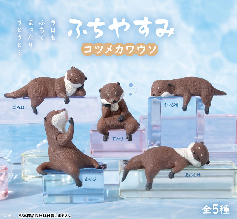100K SUB SPECIAL! Kotaro the Otter Best Memories - YouTube
