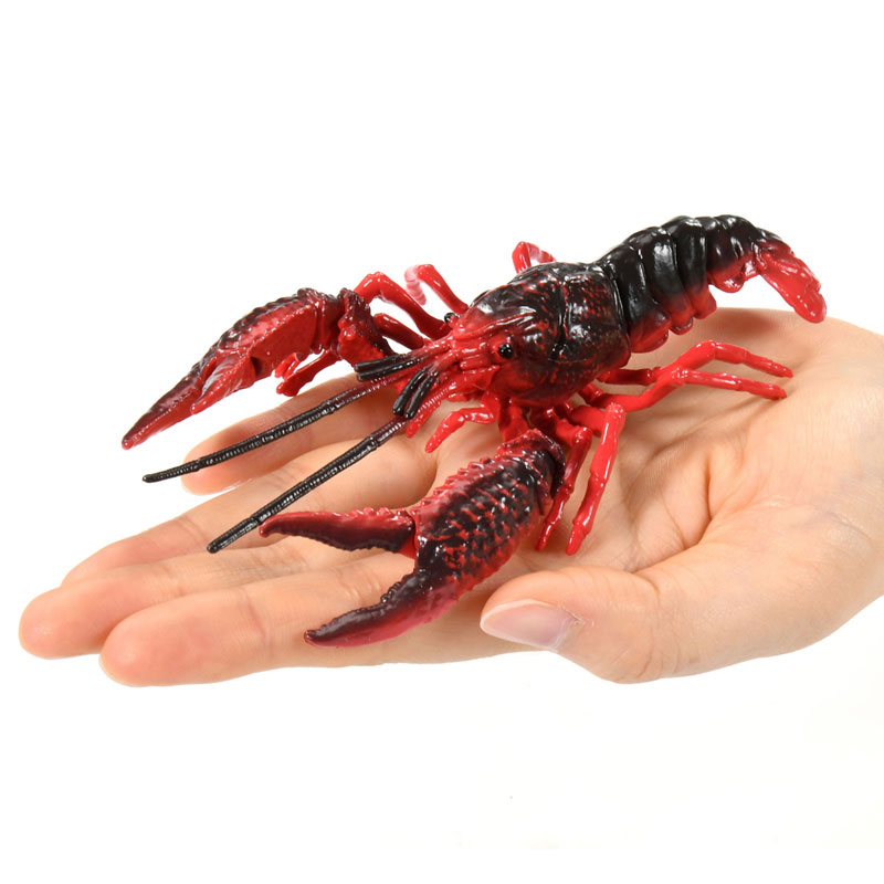 アニア AL-31 アメリカザリガニ