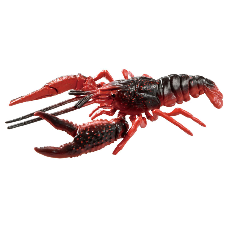 アニア AL-31 アメリカザリガニ