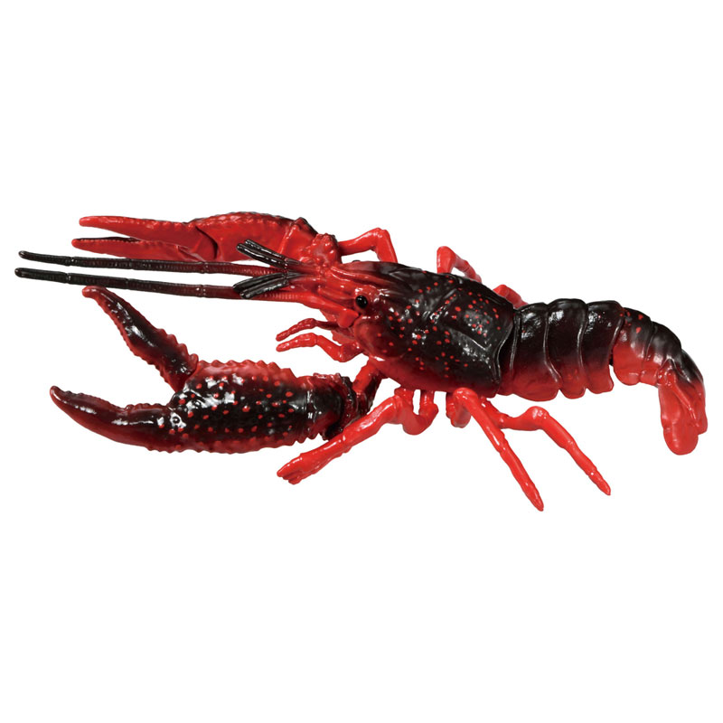 アニア AL-31 アメリカザリガニ