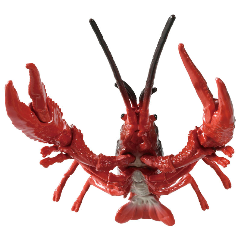 アニア AL-31 アメリカザリガニ