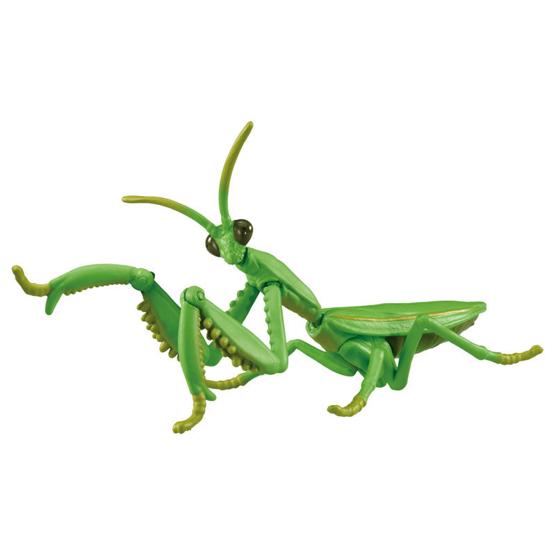 アニア AL-32 オオカマキリ