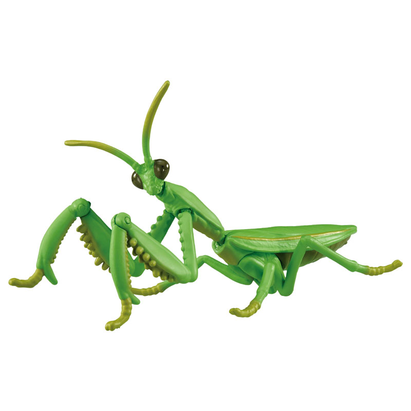 アニア AL-32 オオカマキリ