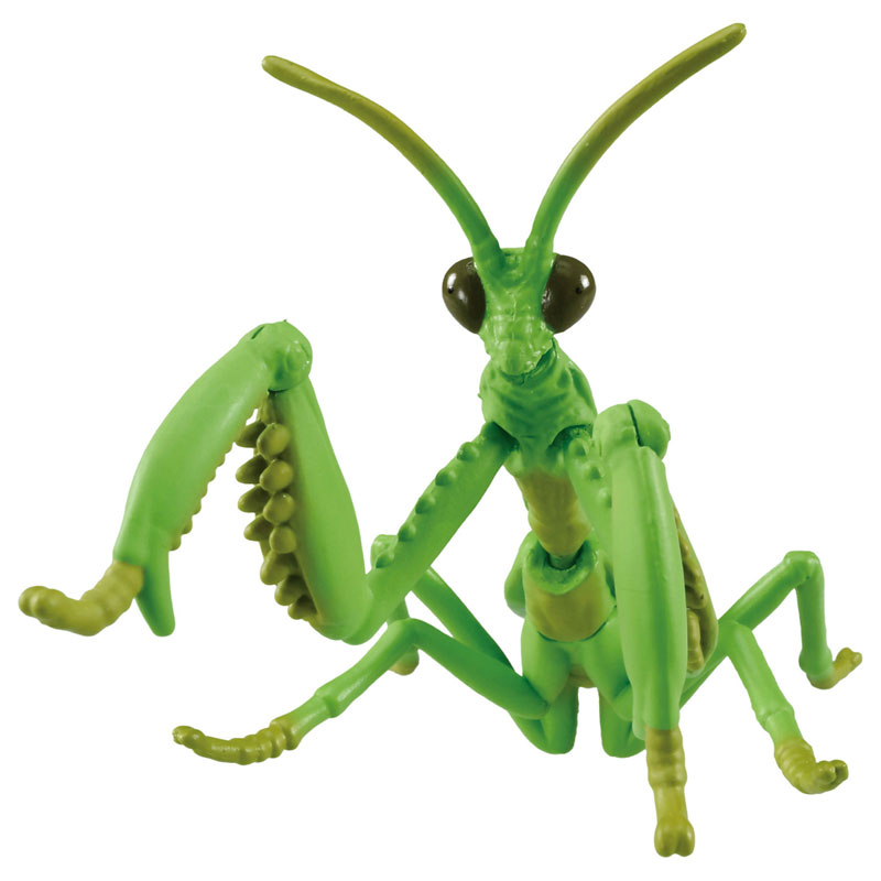 アニア AL-32 オオカマキリ