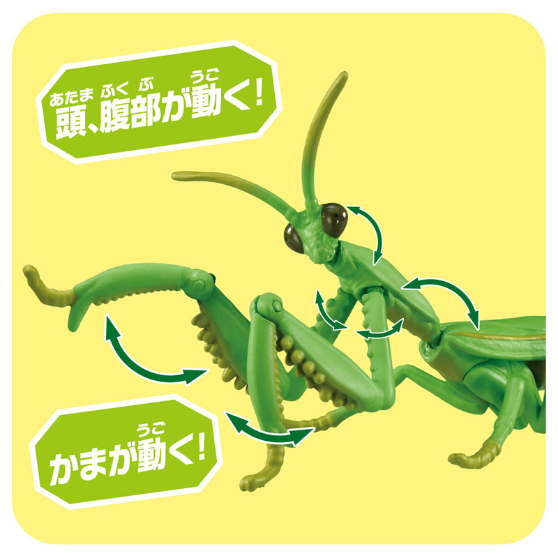 アニア AL-32 オオカマキリ