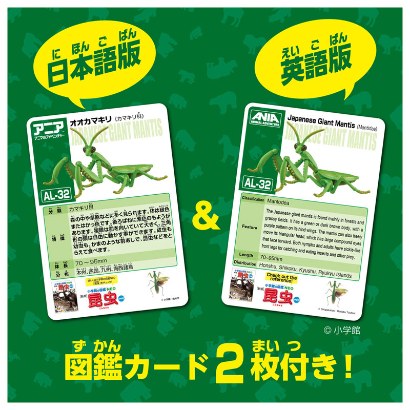 アニア AL-32 オオカマキリ