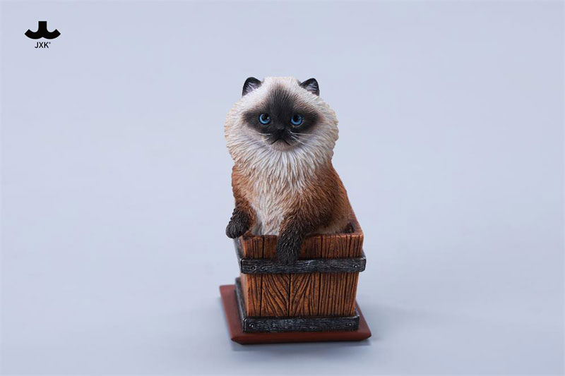ティンバーボックス キャット C
