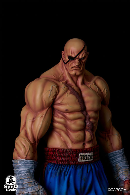 ストリートファイターII/ サガット 1/6 スタチュー