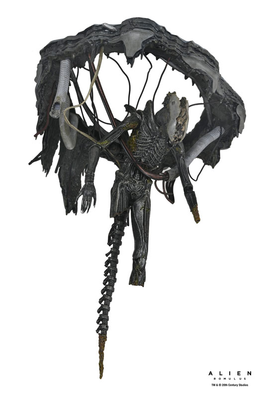 FIGURE-185746_01.jpg