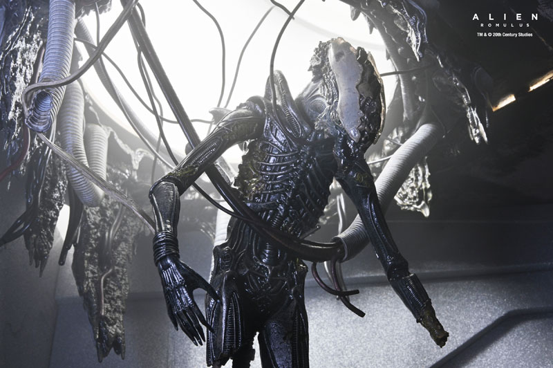 NECA ネカ　サスペンデッド　ラボ　ゼノモーフ　XX121エイリアンロムルス エイリアン ロムルス ゼノモーフXX121 サスペンデッド・ラボ