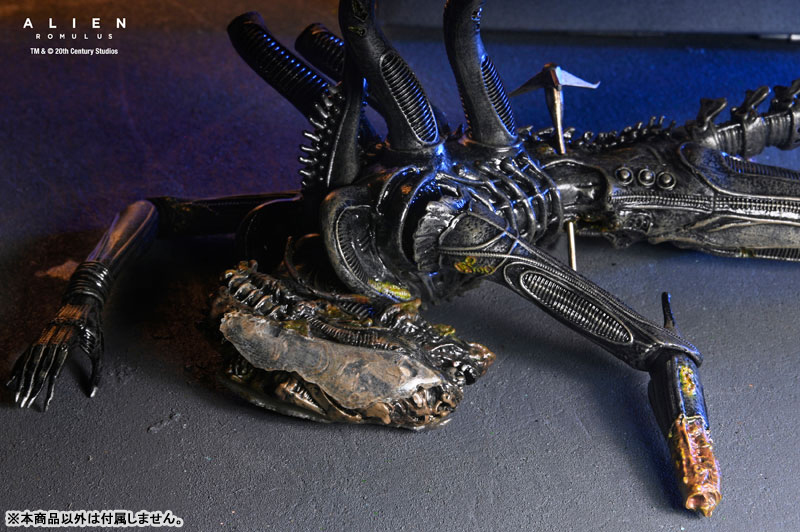 エイリアン：ロムルス/ ゼノモーフXX121 サスペンデッド・ラボ DX 7