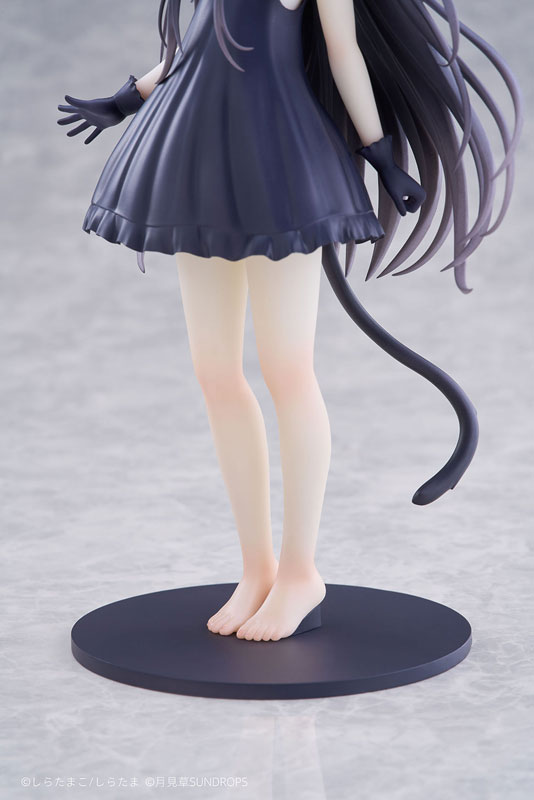【特典】「星空鉄道とシロの旅」 ノワール 1/7 完成品フィギュア