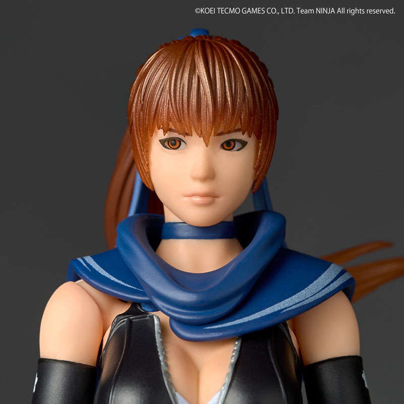 リボルテック アメイジング・ヤマグチ NINJA GAIDEN 3： Razor’s Edge かすみ