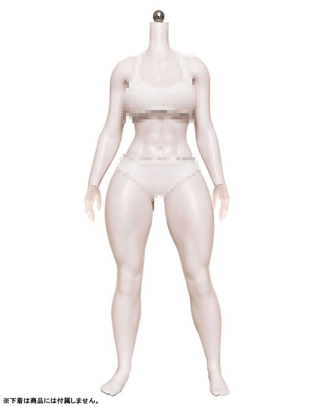 1/6 アーティキュレーテッド プラチナシリコン フィメールボディ 筋肉質 手分割