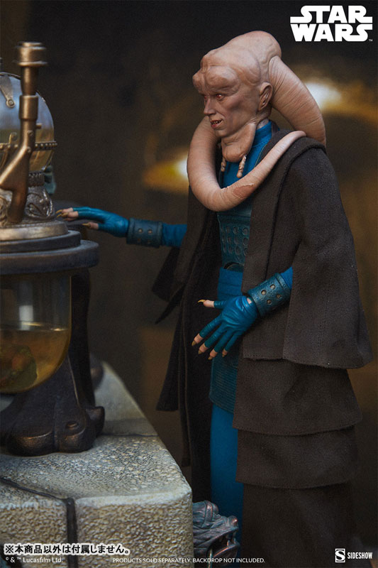 『スター・ウォーズ』1/6スケールフィギュア スカム＆ヴィラニー・オブ・スター・ウォーズ ビブ・フォーチュナ