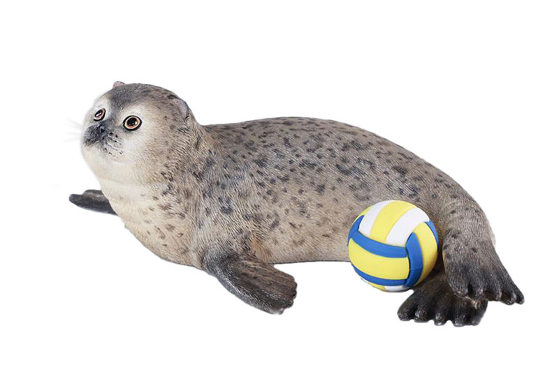 シールキャット ミャオグループ C