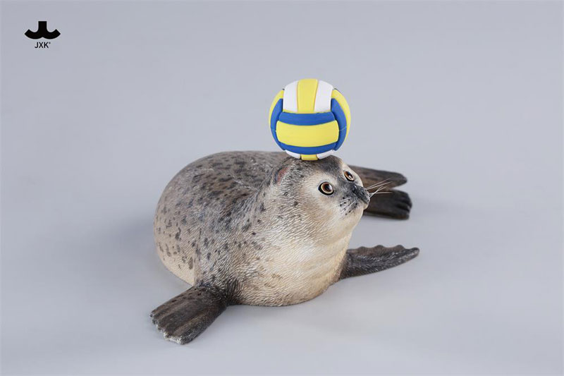 シールキャット ミャオグループ C