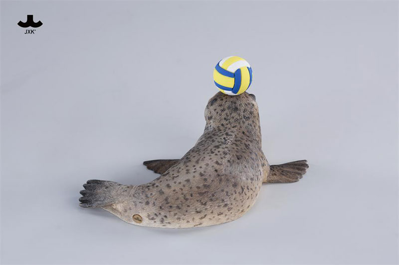 シールキャット ミャオグループ C