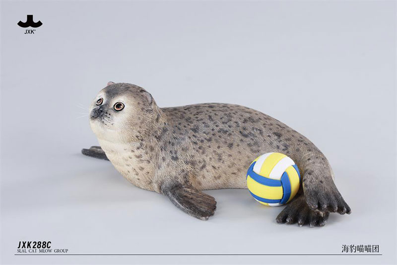 シールキャット ミャオグループ C