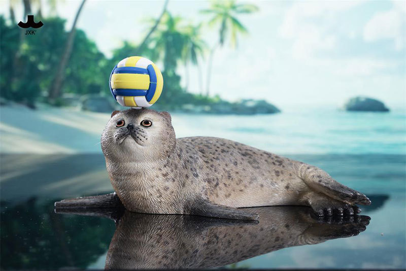 シールキャット ミャオグループ C