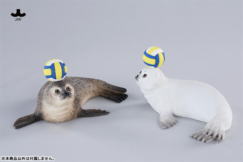 シールキャット ミャオグループ C