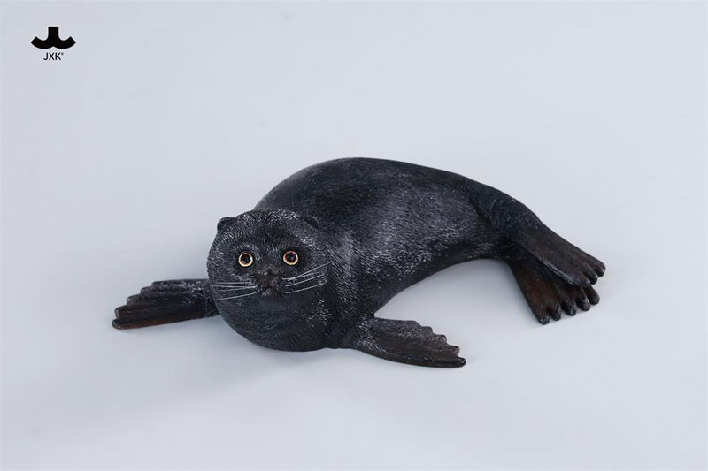 シールキャット ミャオグループ D