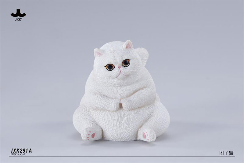 ぽっちゃりキャット A