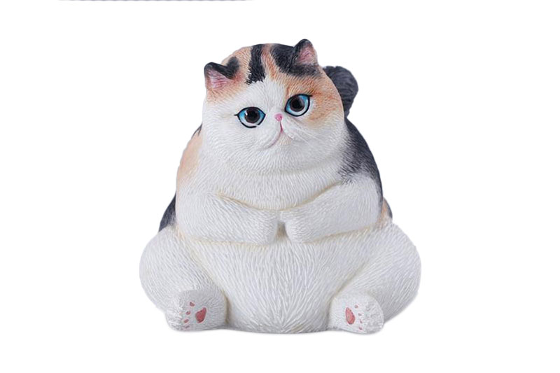 ぽっちゃりキャット B