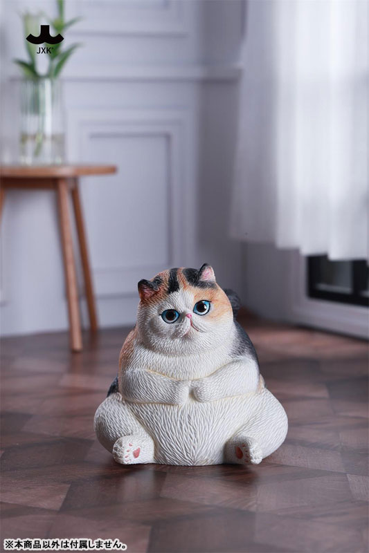 ぽっちゃりキャット B