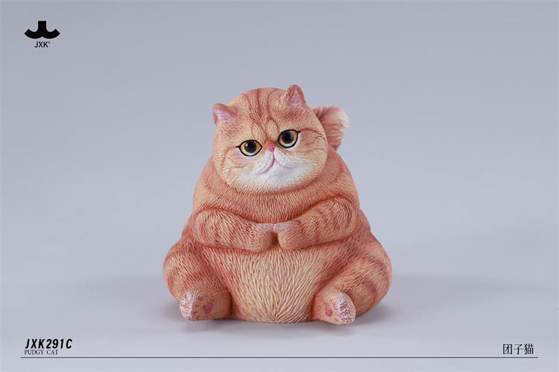 ぽっちゃりキャット C