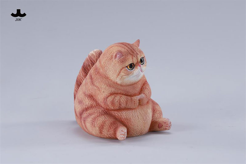 ぽっちゃりキャット C