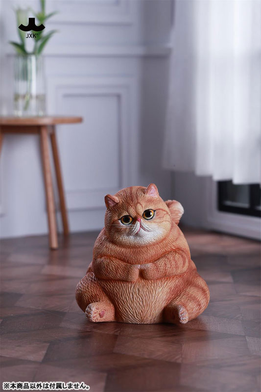 ぽっちゃりキャット C