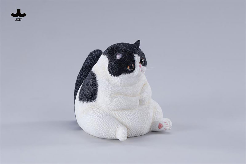 ぽっちゃりキャット D