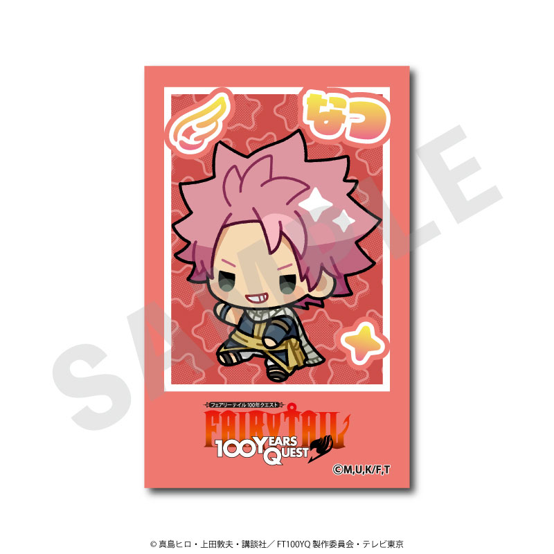 FAIRY TAIL フェアリーテイル 100年クエスト グレイ ジュビア