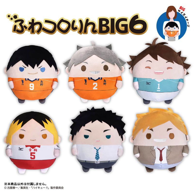 ハイキュー！！ ふわコロりんBIG6 B：菅原孝支（再販）[マックス