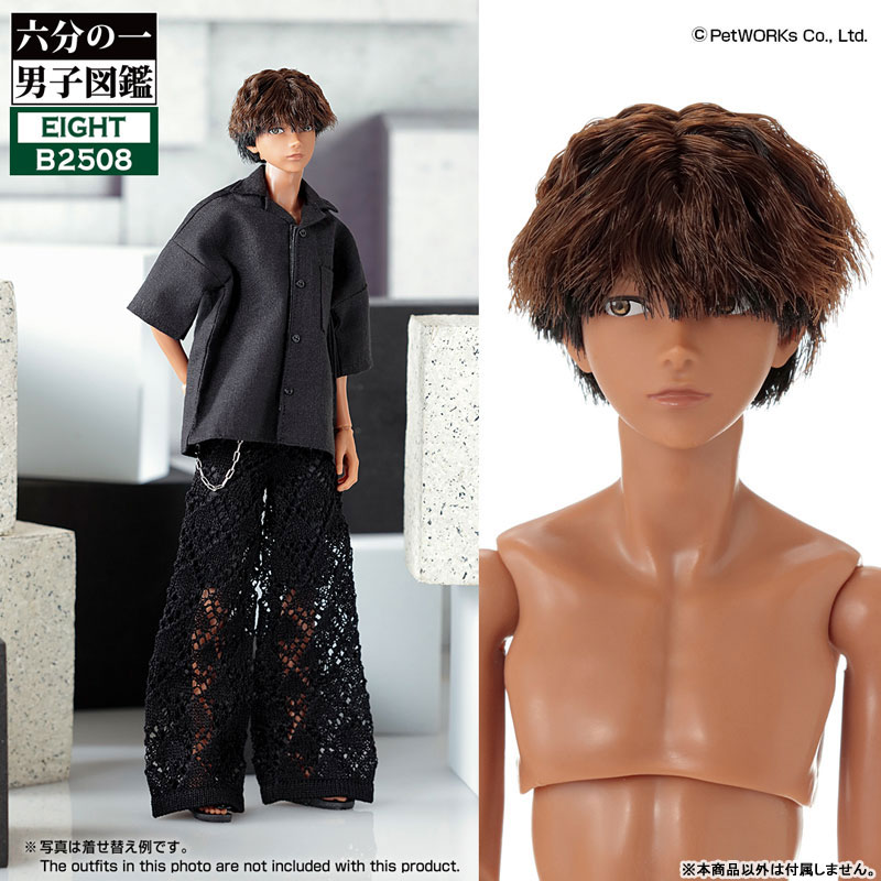 六分の一男子図鑑 B2508 エイト 完成品ドール