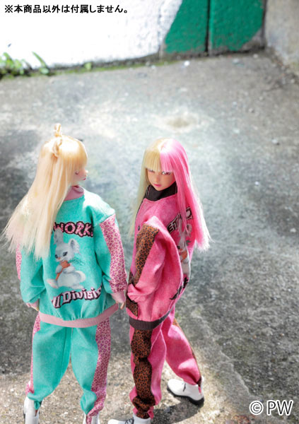 CCS 25AN momoko bk 完成品ドール