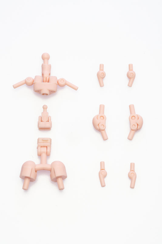 UNION骨格フレーム