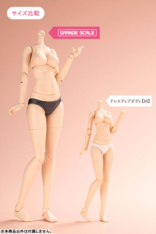 創彩少女庭園 グランデスケールドレスアップボディ[M]with 轟雷 プラモデル
