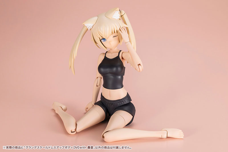 創彩少女庭園 グランデスケールドレスアップボディ[M]with 轟雷 プラモデル