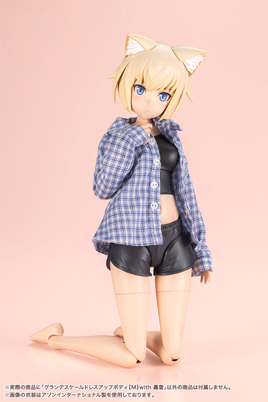 創彩少女庭園 グランデスケールドレスアップボディ[M]with 轟雷 プラモデル