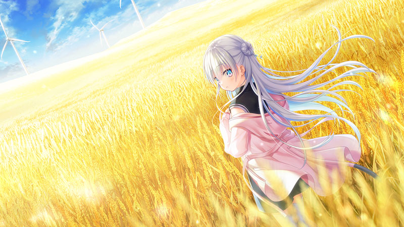 PCソフト anemoi 初回限定版[KEY]《在庫切れ》