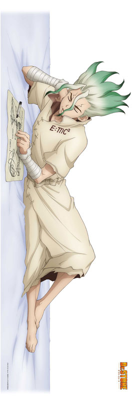 Dr.STONE 石神千空 抱き枕カバー 41fm6bl4uJL.jpg_BO30,255,255,
