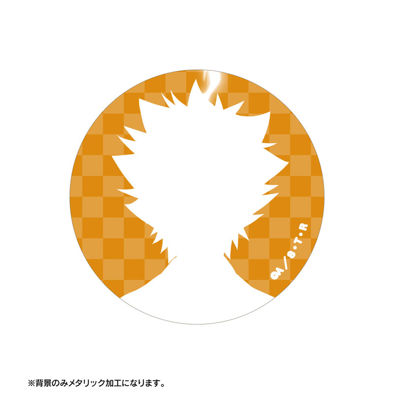 GOODS-04670986_10.jpg