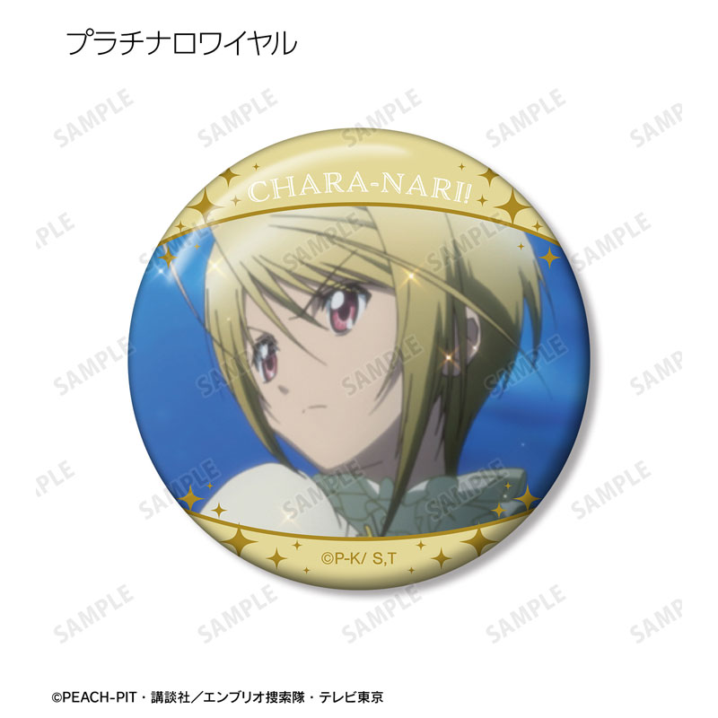 GOODS-04671468_10.jpg