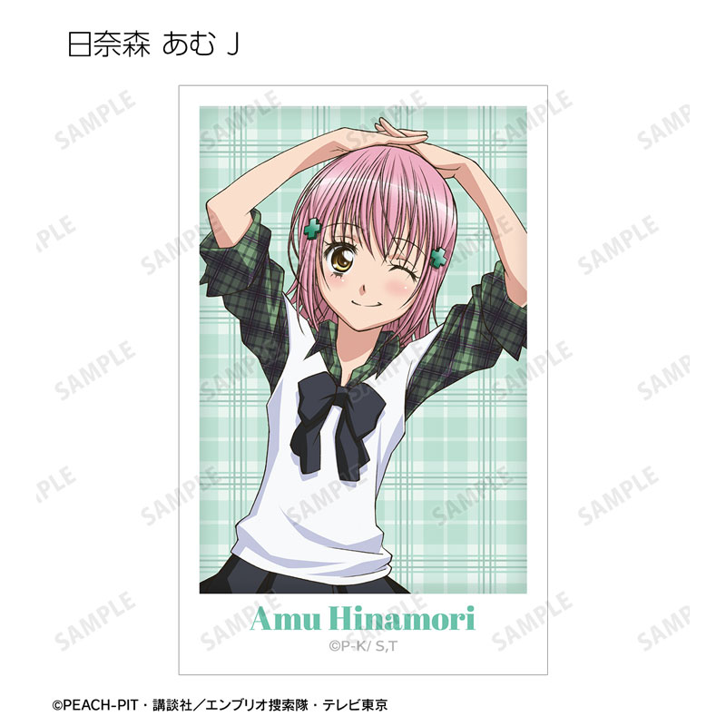 GOODS-04671469_11.jpg