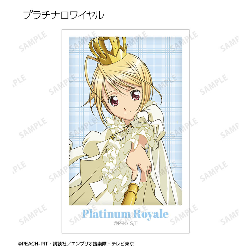 GOODS-04671469_19.jpg