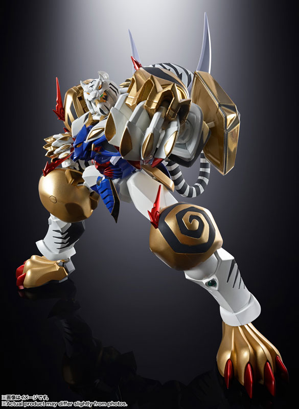 超合金魂 GX-119 龍虎王/虎龍王 『スーパーロボット大戦OG 超合金魂 GX-119 龍虎王/虎龍王 『スーパーロボット大戦OG