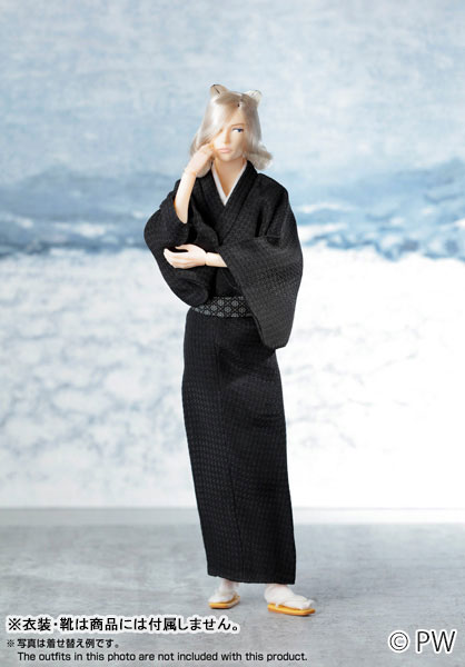 六分の一男子図鑑 B2512 ナイン 完成品ドール