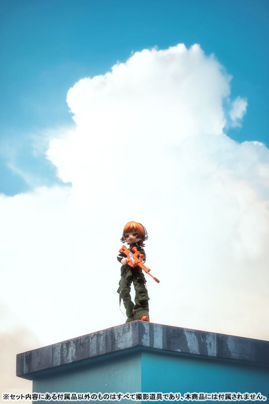 「EVE LYNNA：両面キラー」 ピクセル MJD 完成品ドール